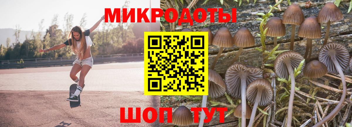 Чехов  цена   Вход с VPN  Псилоцибиновые грибы мухоморы 